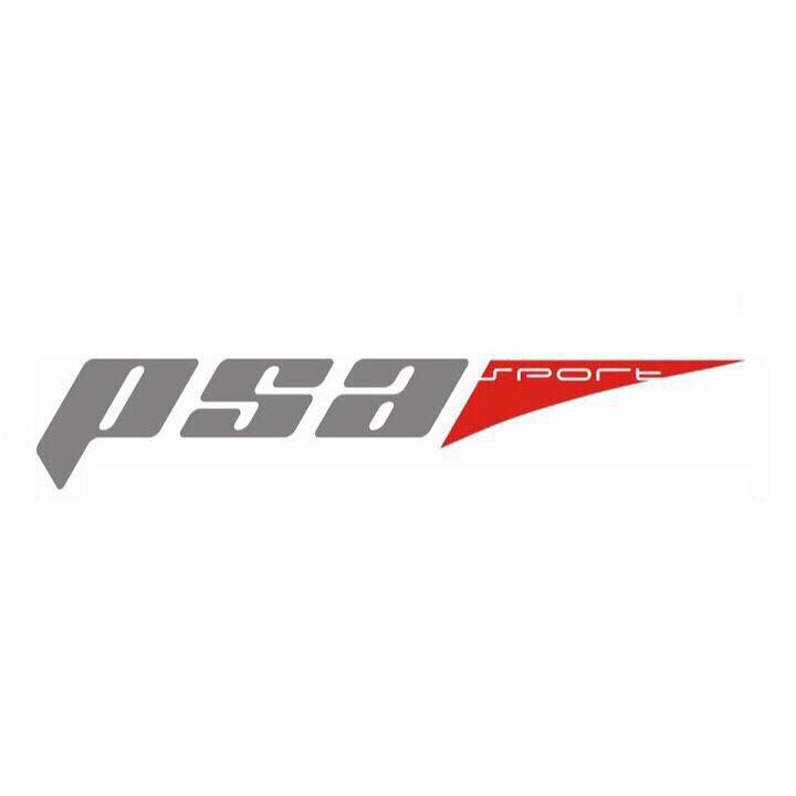 PSA ECU Tuning 法總汽車動力晶片